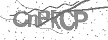 visual captcha