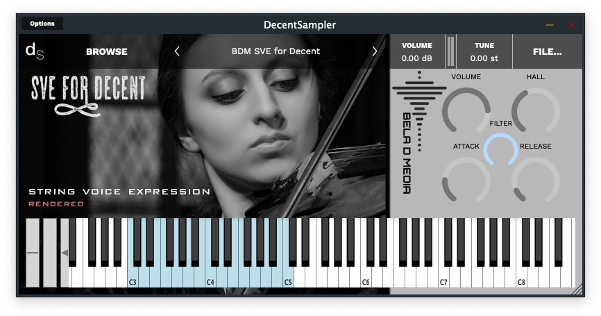 User Interface for the DSP String Voice Expression Sample Library
