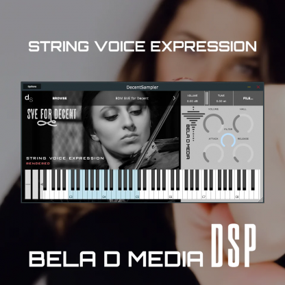 Cover Art for the DSP String Voice Expression sound library
