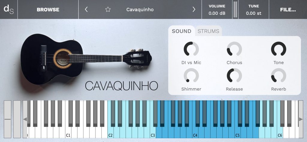 Cavaquinho User Interface Screenshot 1